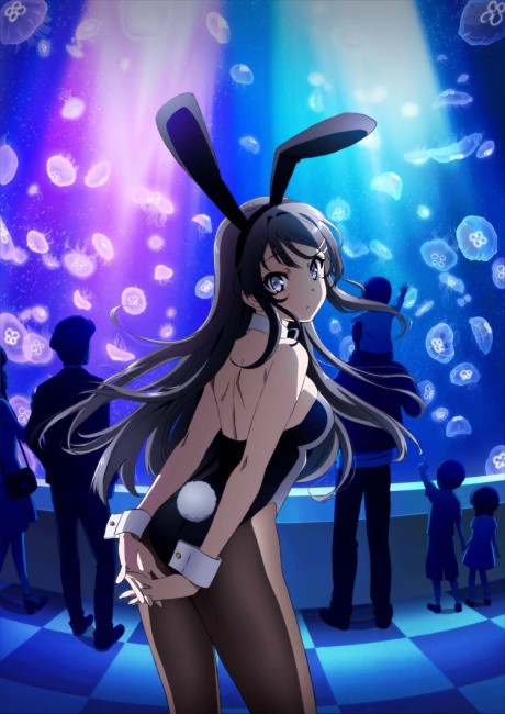 Capa - Seishun Buta Yarou wa Bunny Girl Senpai no Yume wo Minai