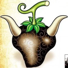 Ox ox fruit